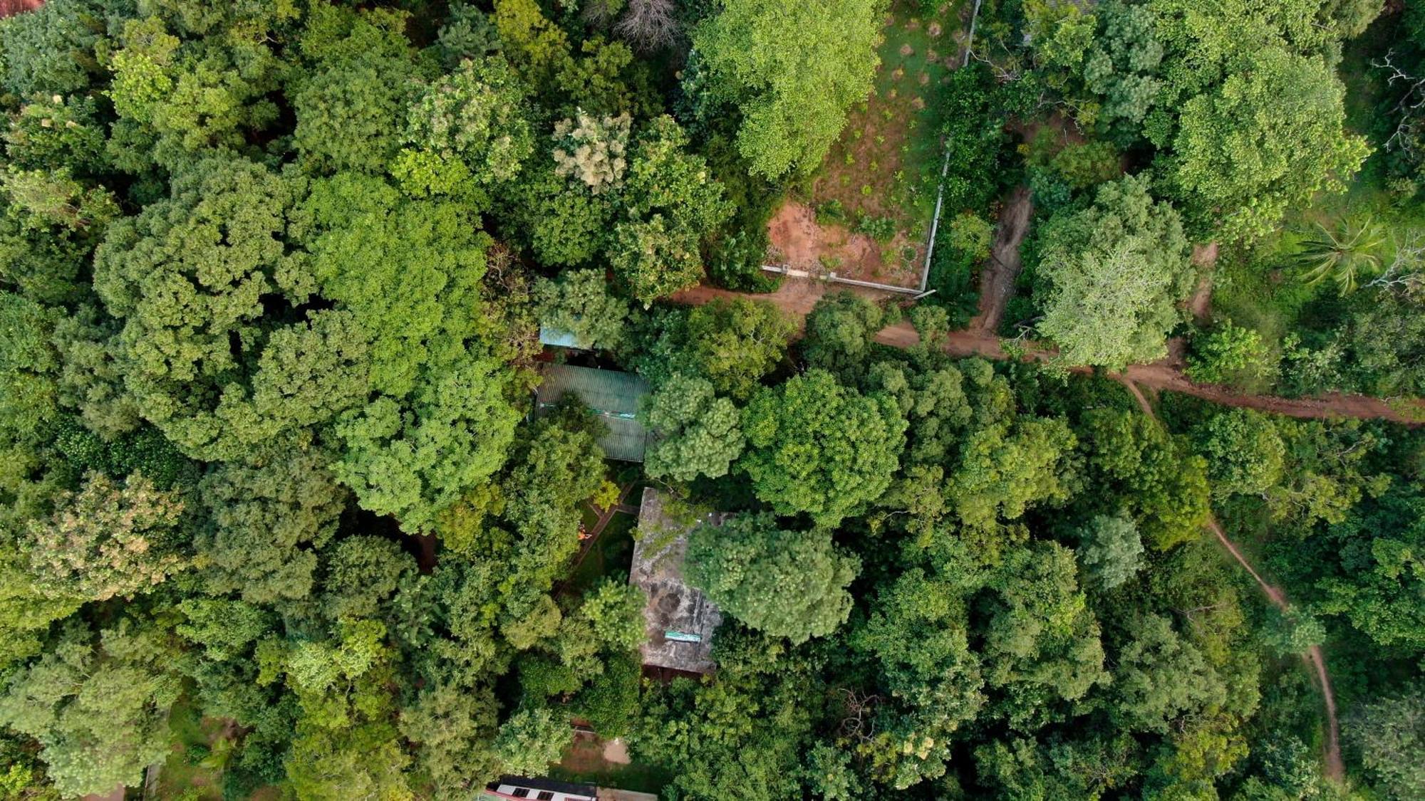 Woodsy Villa Sigiriya Esterno foto