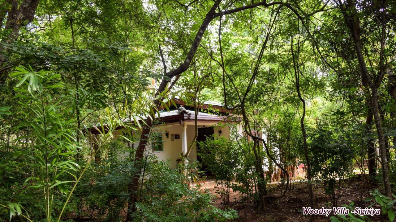 Woodsy Villa Sigiriya Esterno foto